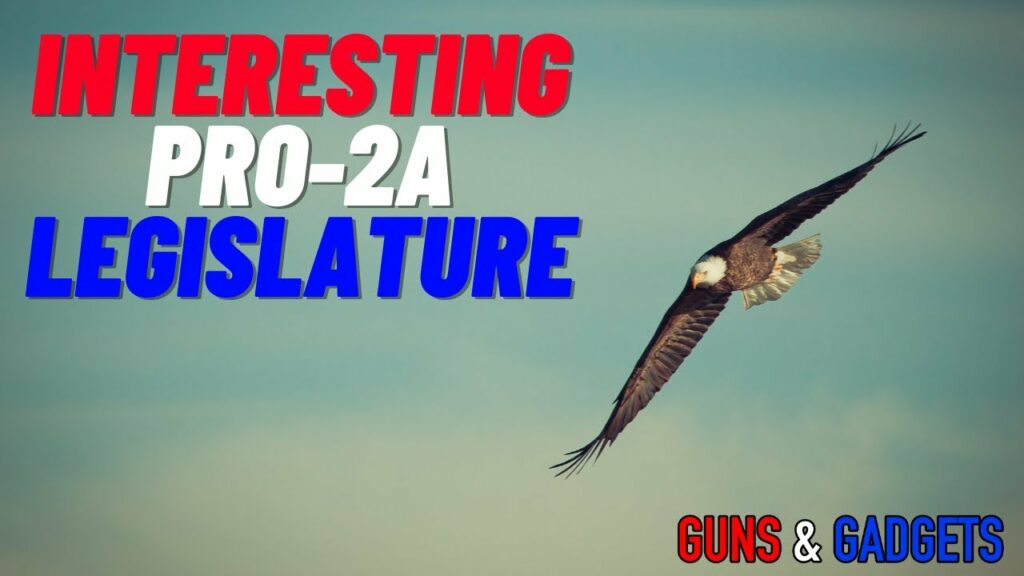 Interesting Pro 2A Legislature –  Guns & Gadgets  – YT Watch