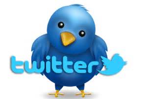 Twitter Nukes Audit Efforts on it