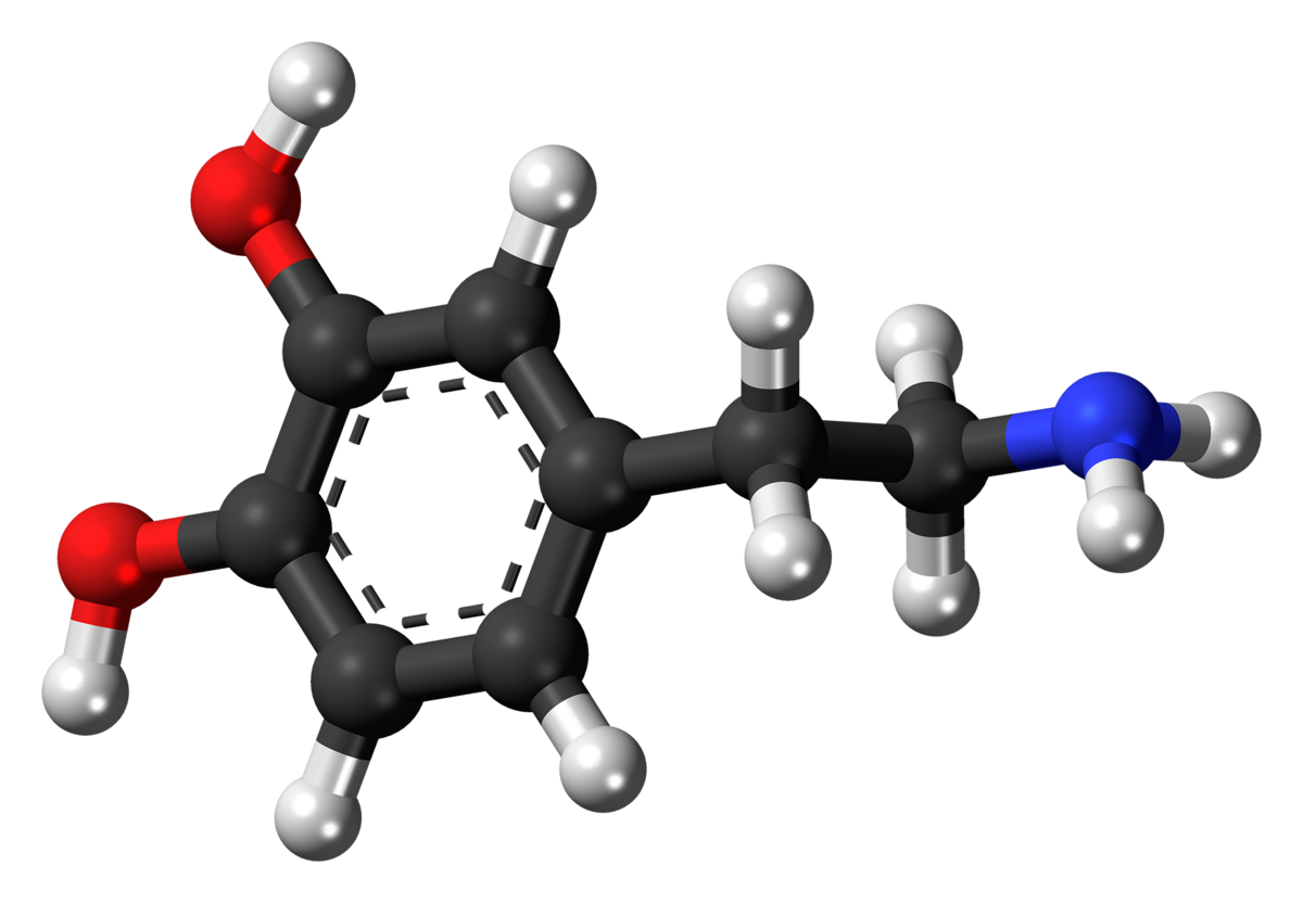 Being Aware is a Dopamine Thing