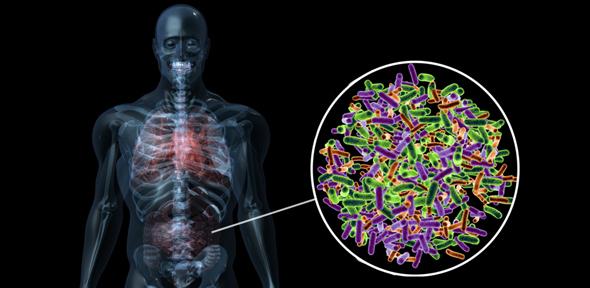 Microbiomes Might Create More Genetic Possibilities for Organisms