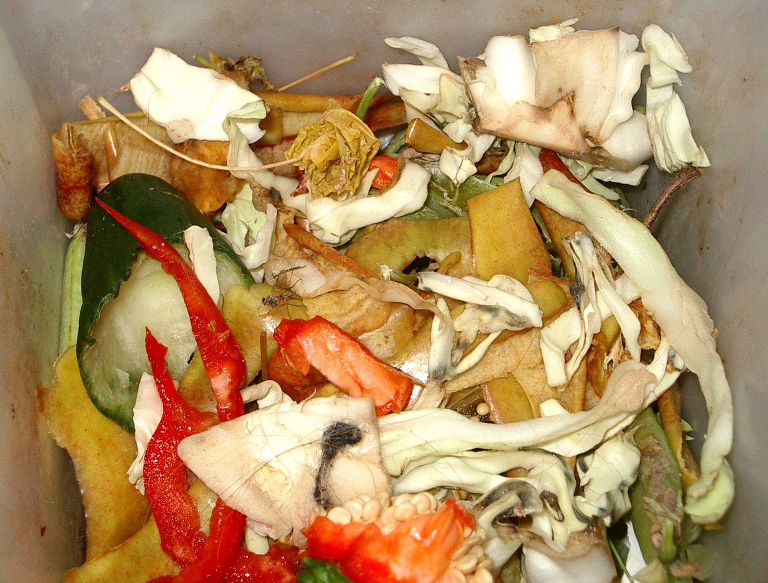 If You Don’t Eat It, You Can Use It as Fuel for Your Home
