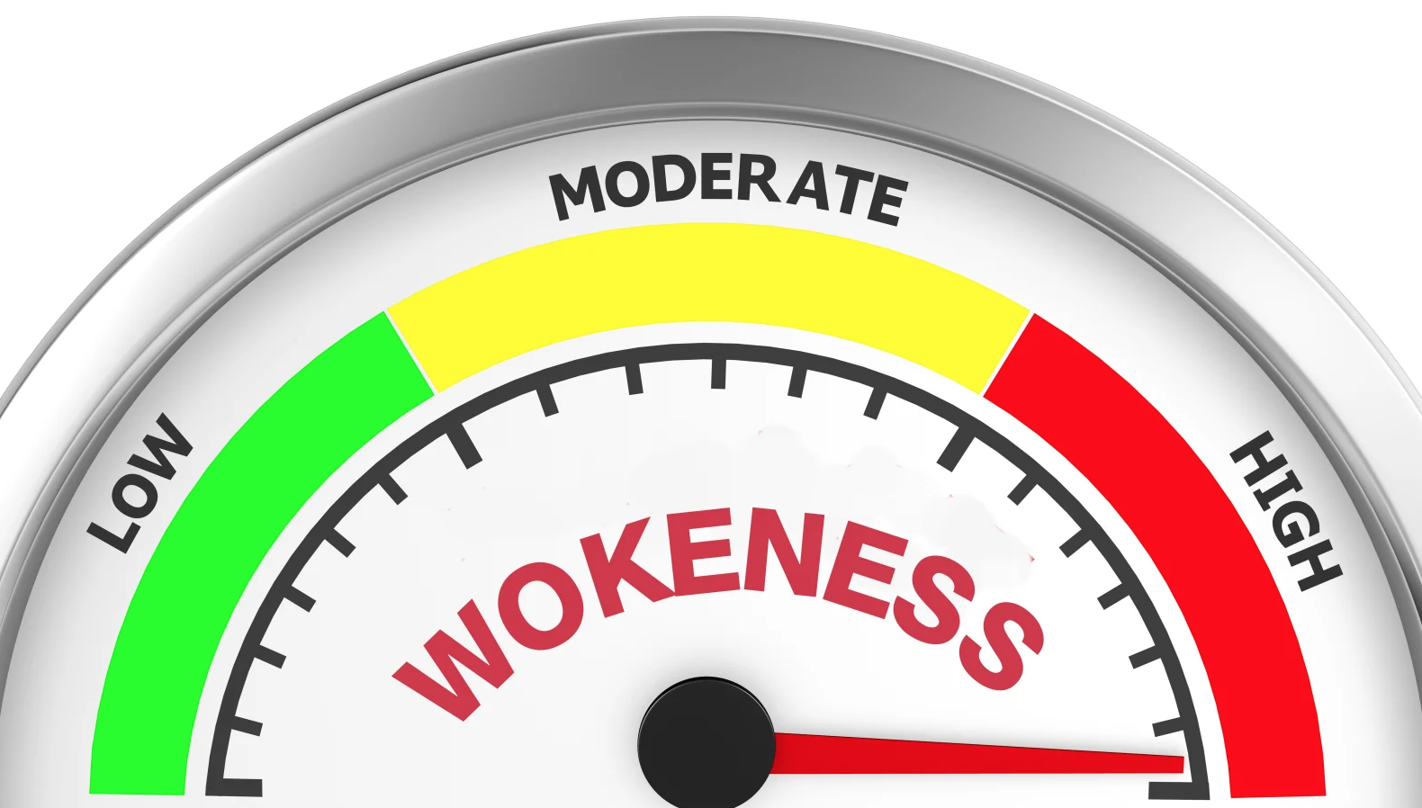 Big Tech Pays You to Kill AI Bugs and Make Them More Wokez