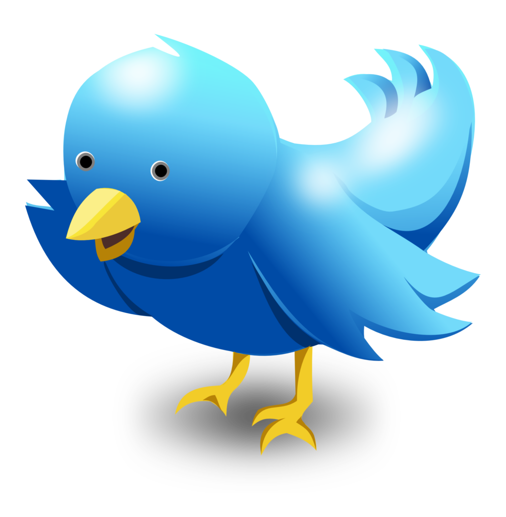 Bitcoin Address Now Twitter Profile Feature