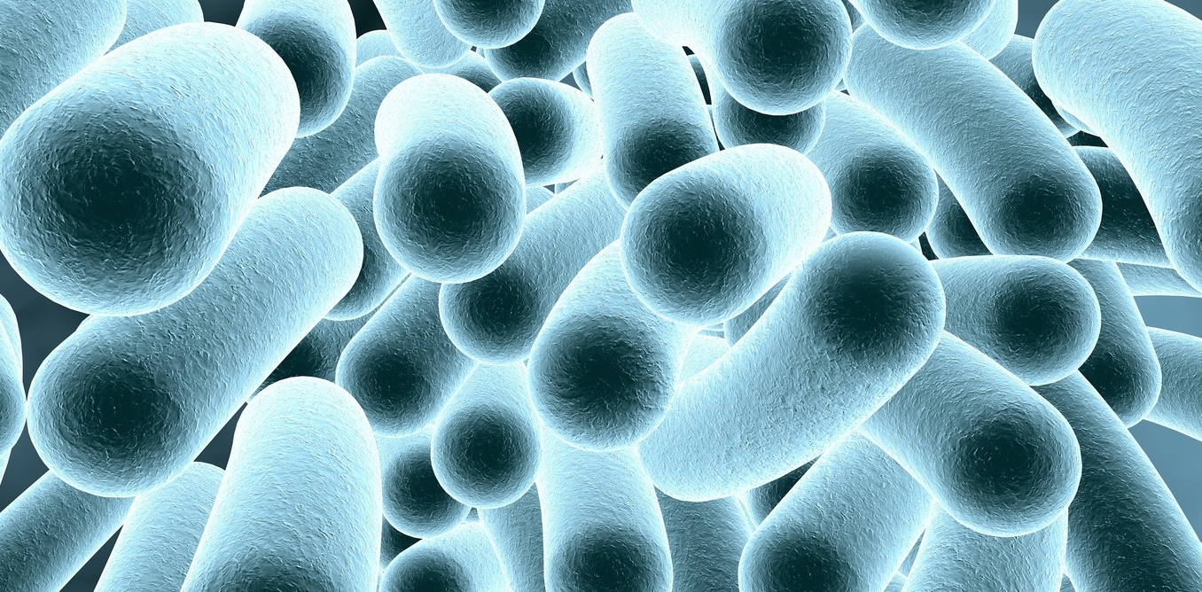 Wastewater Microbes Could Be Source for Electric Power