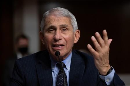 Fauci Family Makes Millions As Long as p