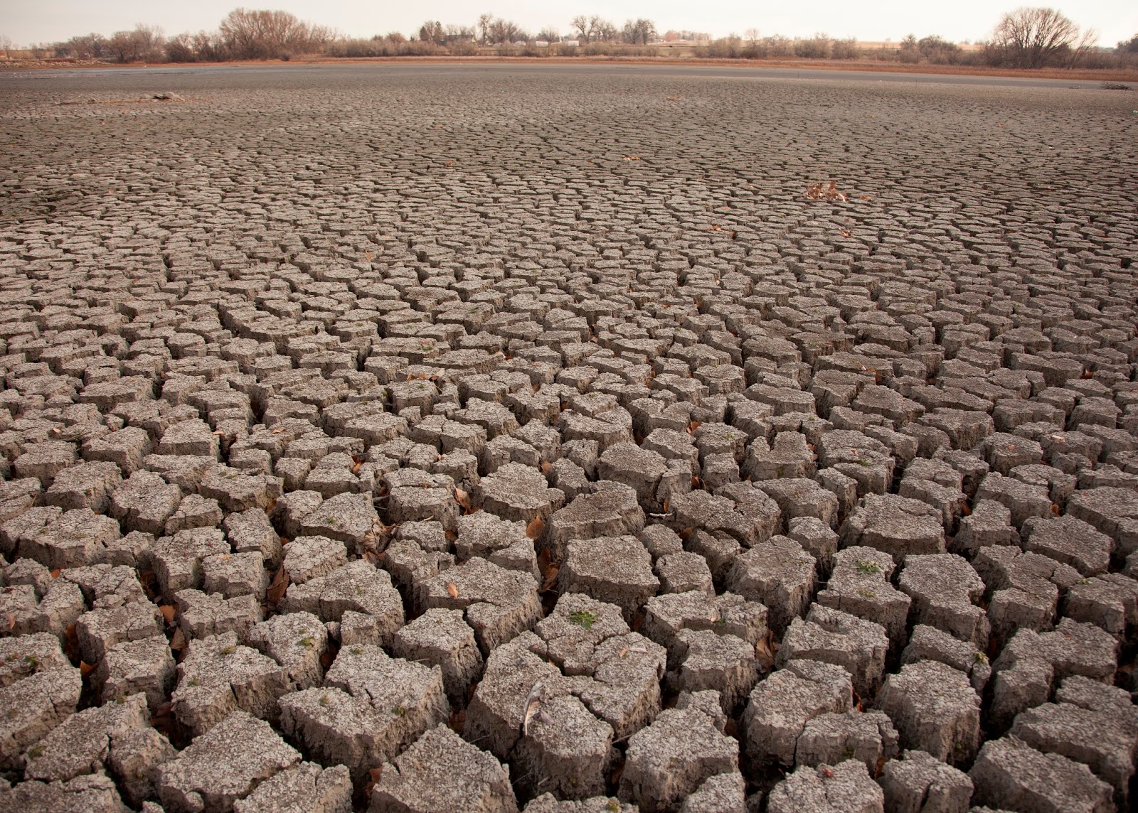 American West Sees Worse Drought in 1,200 Years