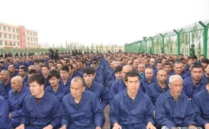 Report Connects Amazon to Uyghur Forced Labor Camps