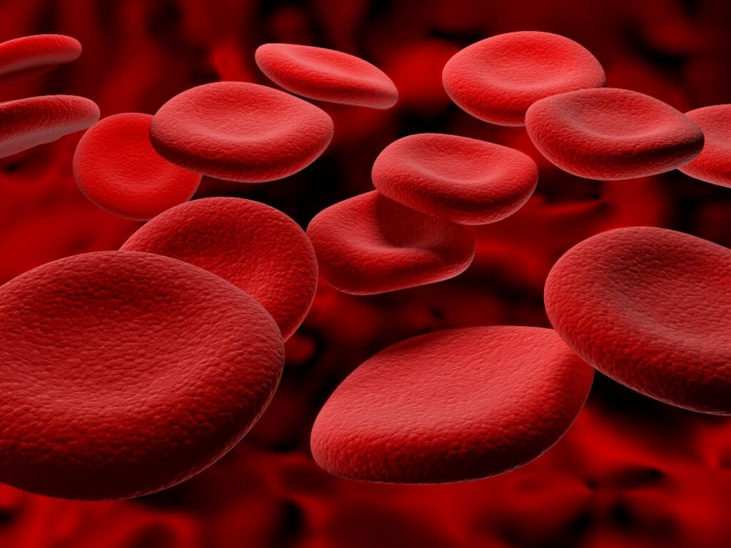 Could Re-Engineered Red Blood Cells Help Us Combat Covid-19?