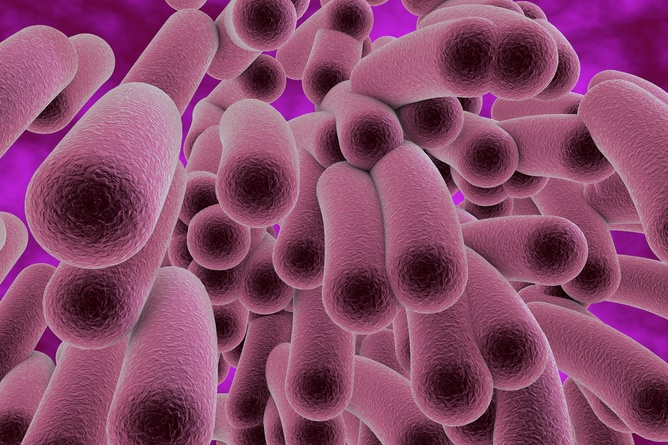 Superbugs Could b