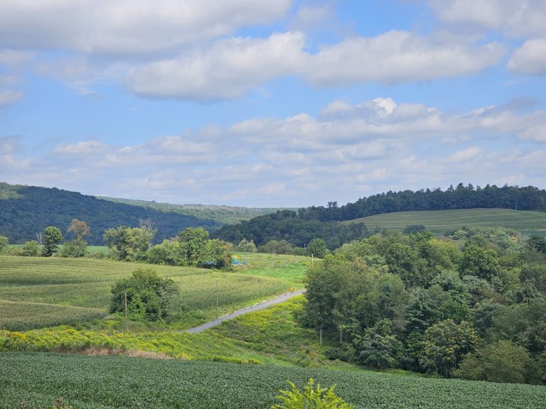 Interrogating Your Feelings